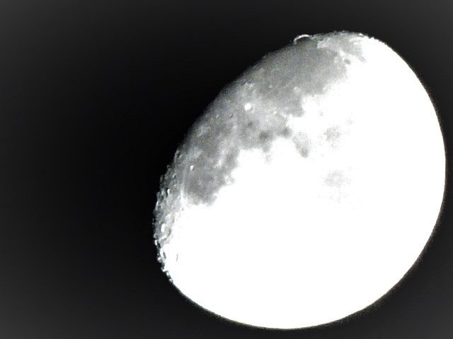 c0100865_22540246.jpg