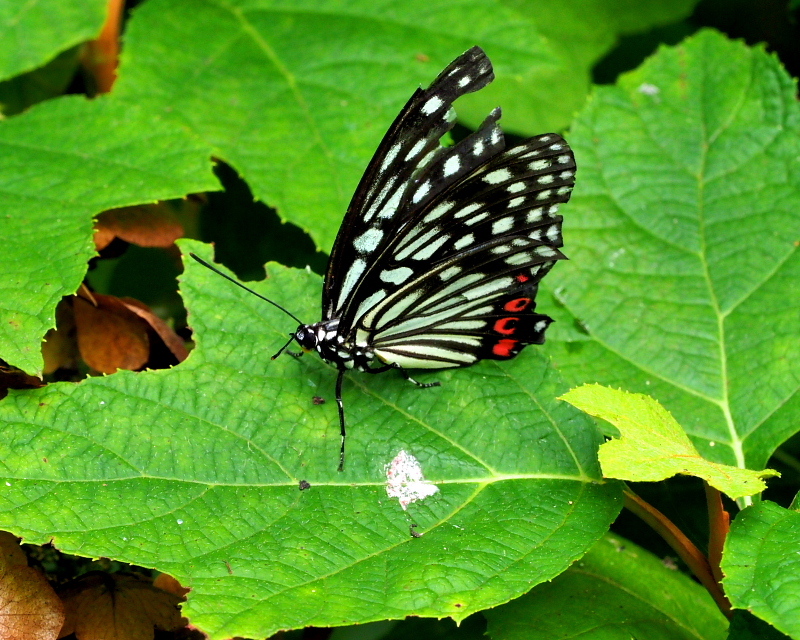 c0305565_17355910.jpg