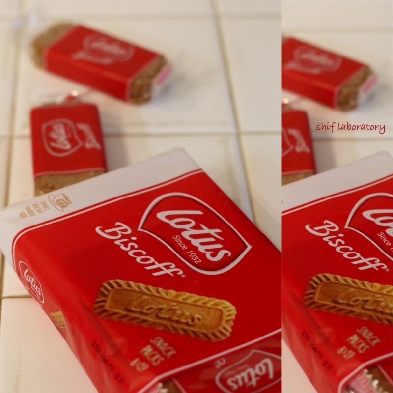 ロータス ビスコフ_c0156468_19381438.jpg