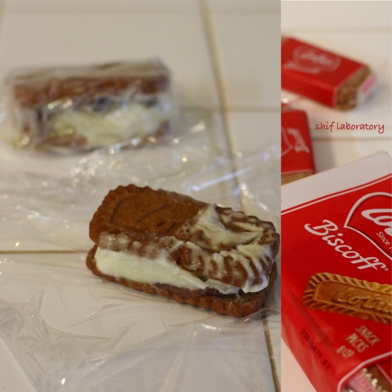 ロータス ビスコフ_c0156468_19382672.jpg