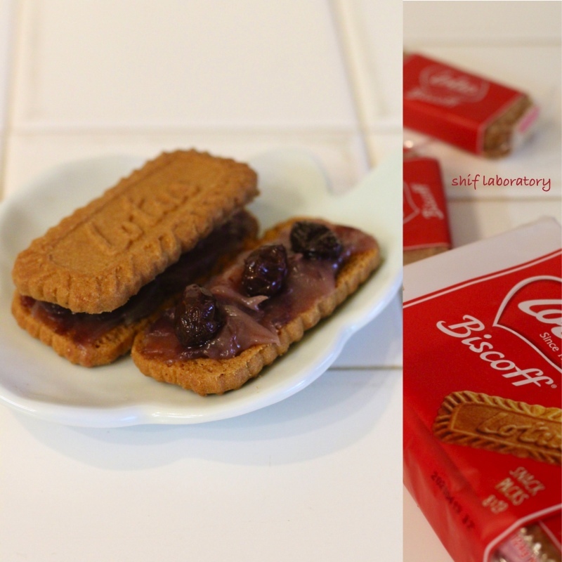 ロータス ビスコフ_c0156468_19383625.jpg