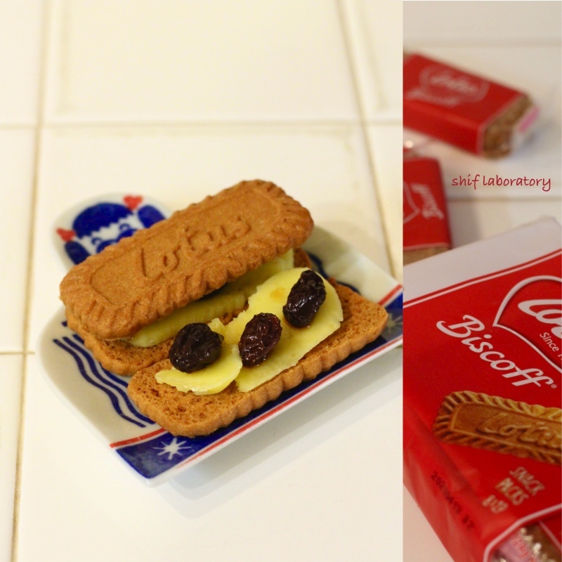 ロータス ビスコフ_c0156468_19384414.jpg
