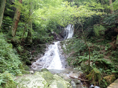 d0182075_05383613.jpg