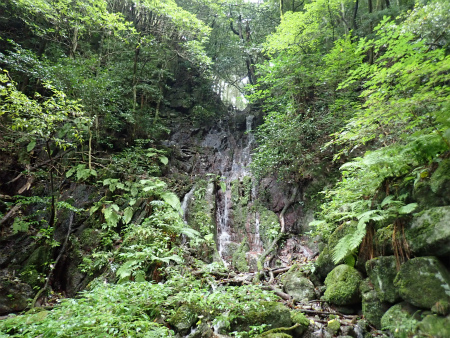d0182075_05384294.jpg