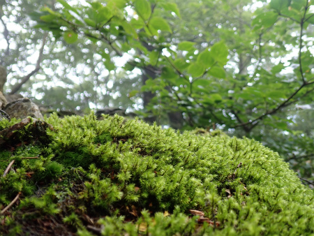 d0182075_05402632.jpg