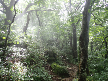 d0182075_05403367.jpg