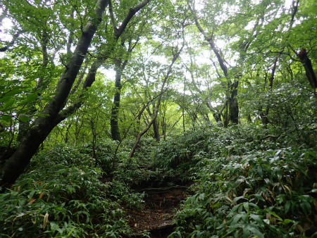 d0182075_05424737.jpg