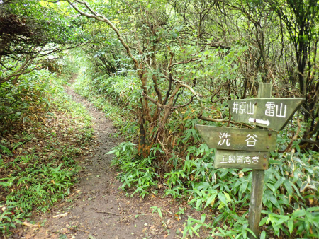 d0182075_05435739.jpg