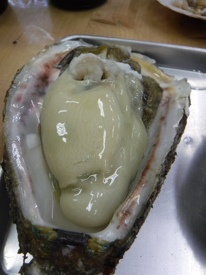 f0238779_18413049.jpg