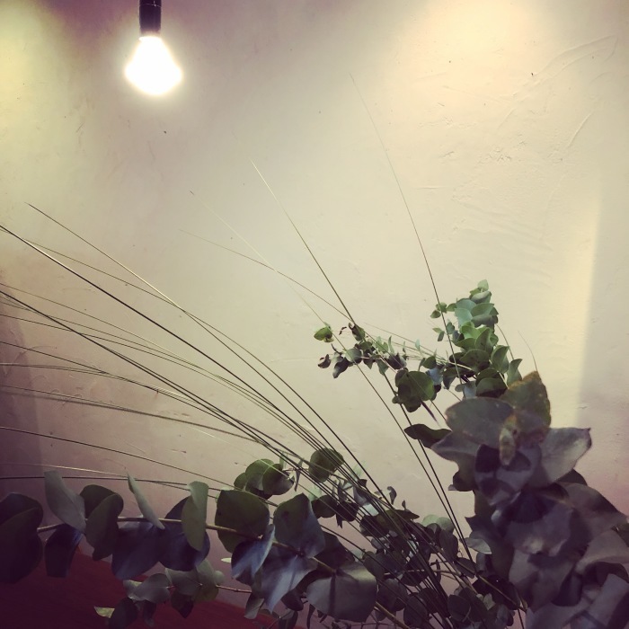 a0152283_08592880.jpeg