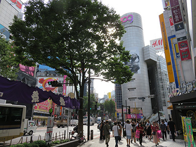 b0056983_16275441.jpg