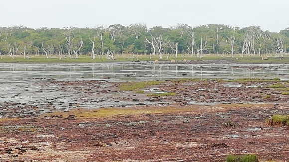 c0212083_16343788.jpg