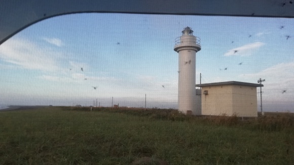 c0212083_16390781.jpg