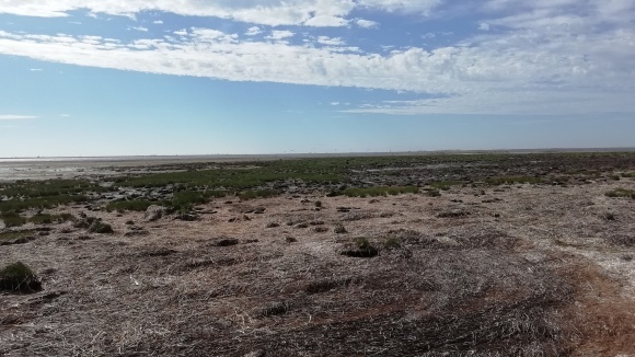 c0212083_16414985.jpg