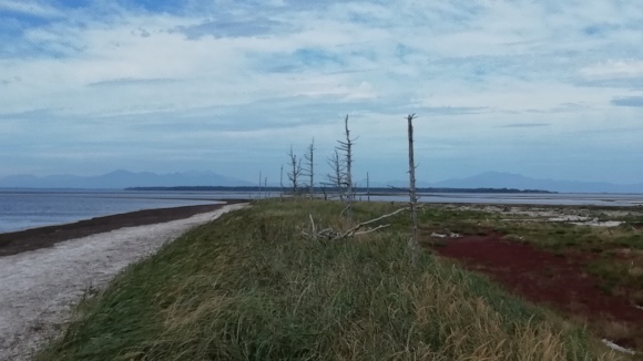 c0212083_16455089.jpg