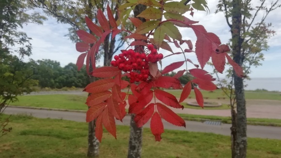 c0212083_16501479.jpg