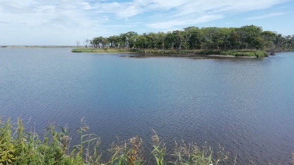 c0212083_16551715.jpg