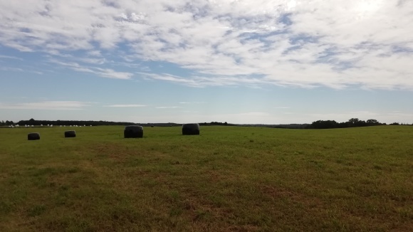 c0212083_16553593.jpg