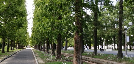 c0229483_9133648.jpg