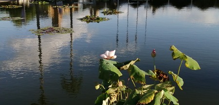 c0229483_9161397.jpg