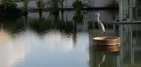 c0229483_917154.jpg