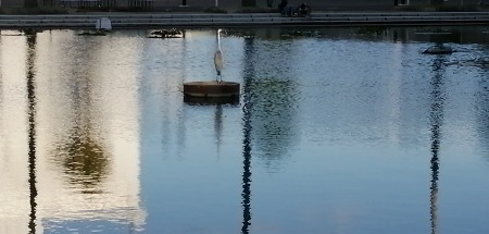c0229483_9185426.jpg