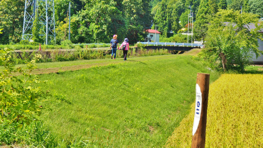 c0336902_20383406.jpg