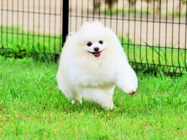 兄弟で「行ってきます」_d0360206_01134483.jpg