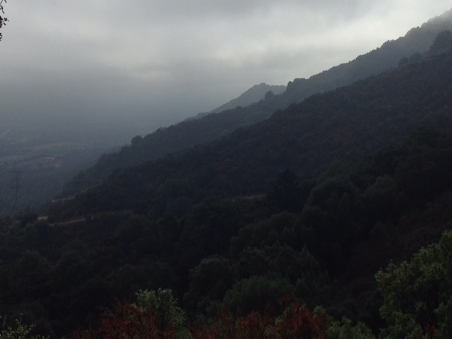 a0331910_09185298.jpg