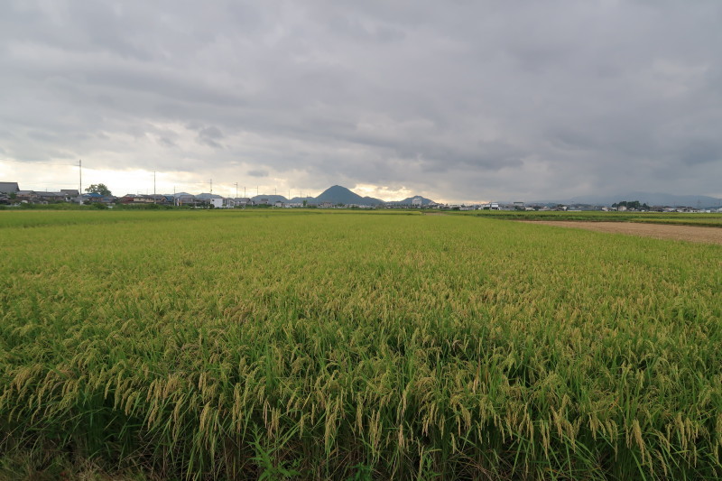 d0103314_22451444.jpg