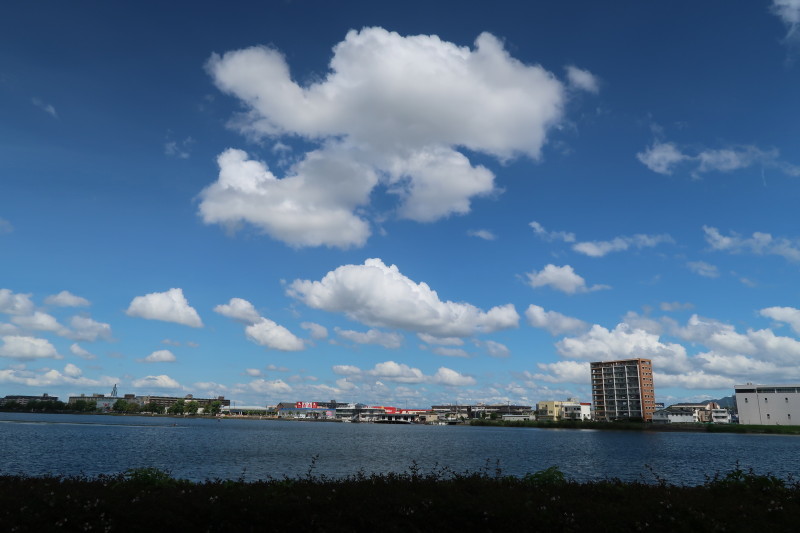 d0103314_22481678.jpg