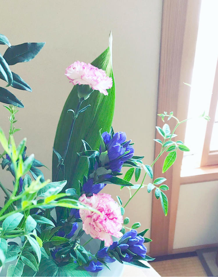竜胆 りんどう 自然を見つめて自分と向き合う心の花 竜胆 りんどう 自然を見つめて自分と向き合う心の花