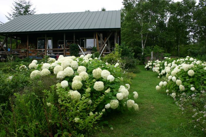 d0143719_09554100.jpg