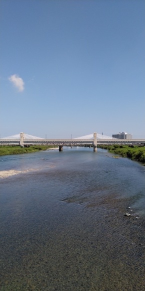d0212522_17501889.jpg