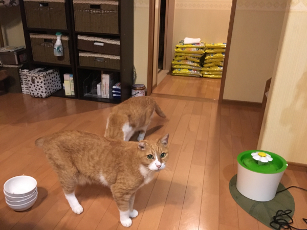 満月への願いごと_a0099131_21534455.jpg