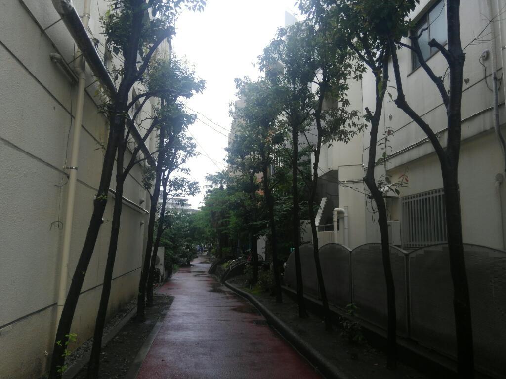 暗渠