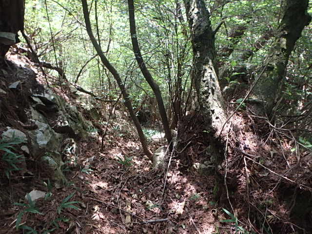 f0334143_12154788.jpg