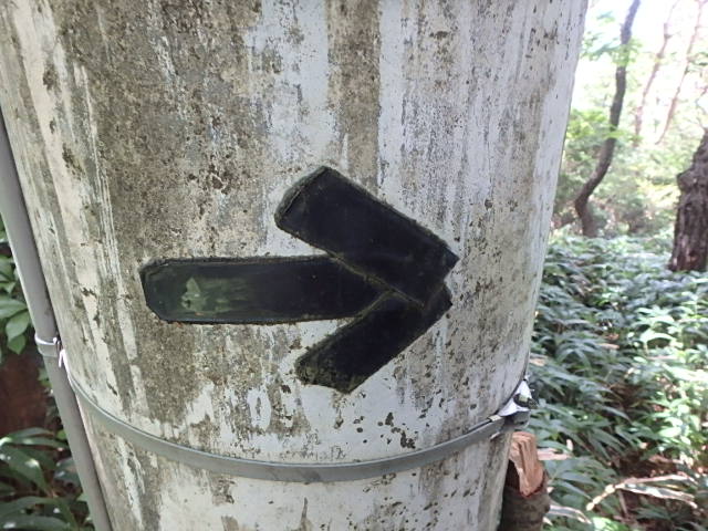 f0334143_12183332.jpg