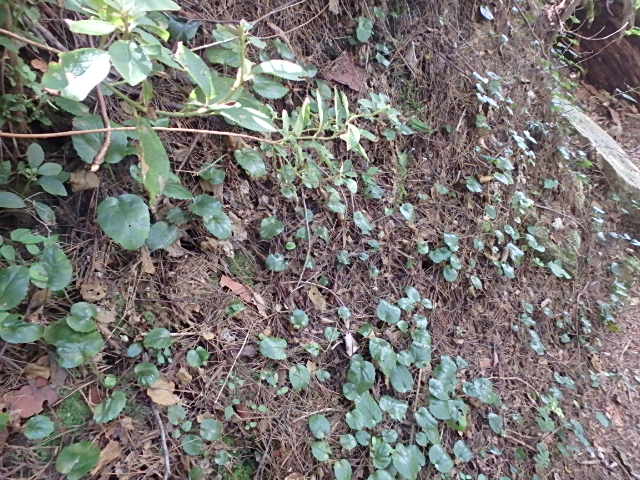 f0334143_12205744.jpg