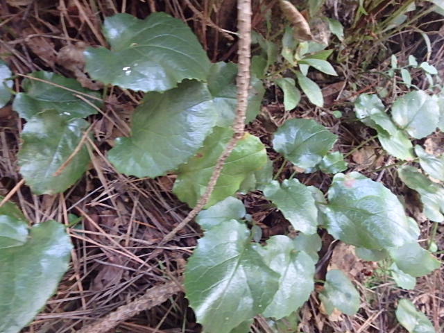 f0334143_12221996.jpg