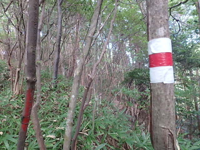 f0334143_12285067.jpg