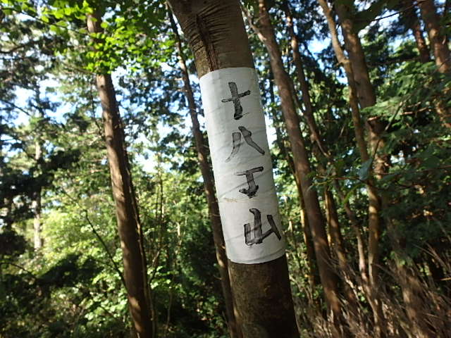 f0334143_12292971.jpg