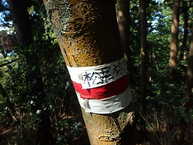 f0334143_1229451.jpg