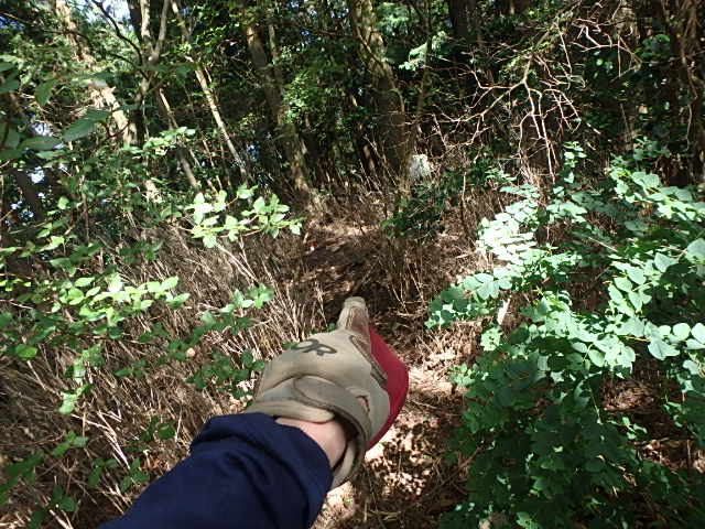 f0334143_1230341.jpg