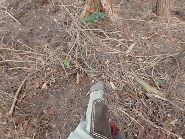 f0334143_12353120.jpg
