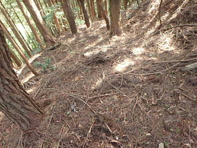 f0334143_12355858.jpg