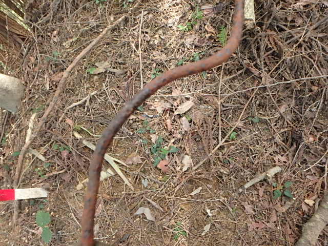 f0334143_12361685.jpg