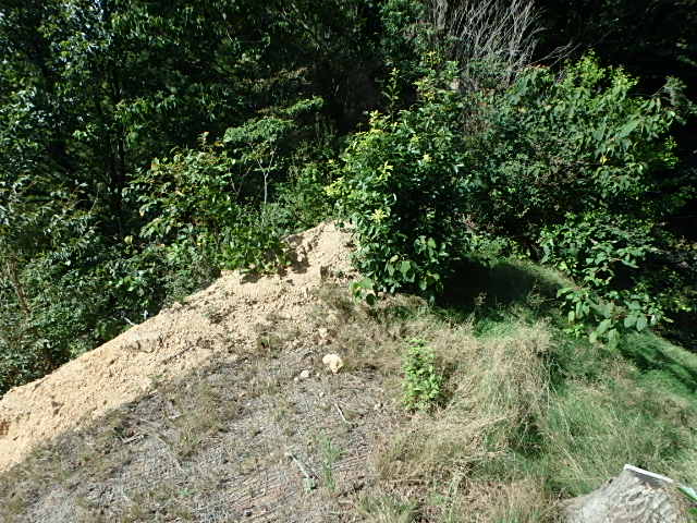 f0334143_12391568.jpg