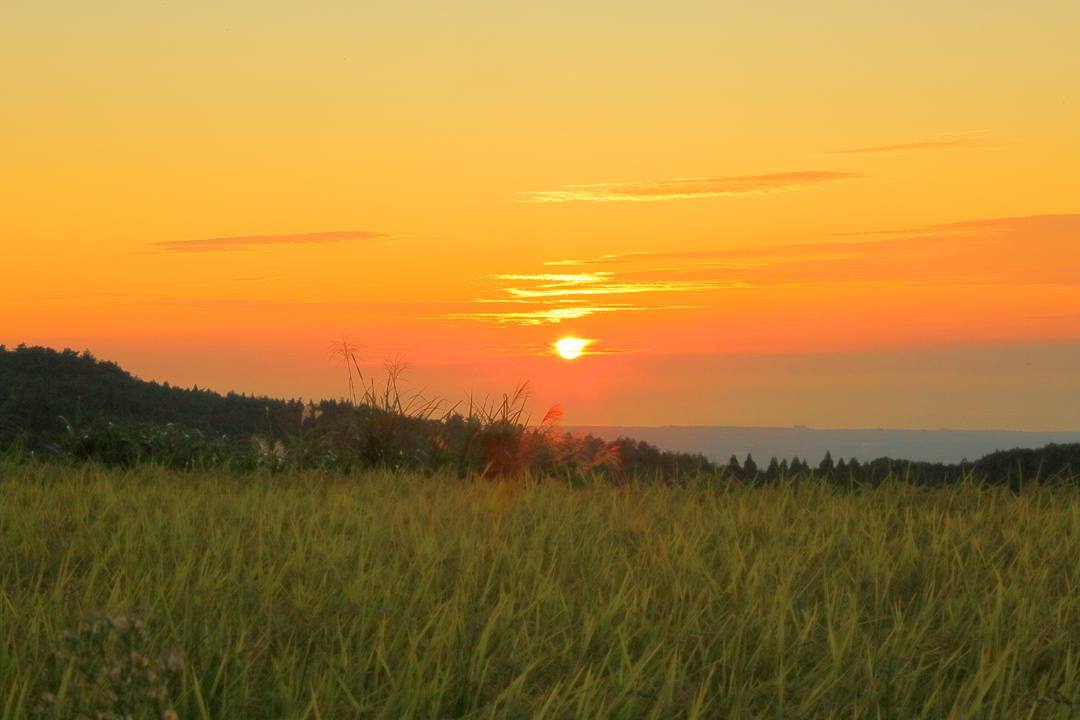 e0403850_21090821.jpg
