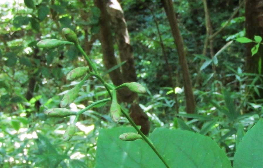 b0220251_17310157.jpg